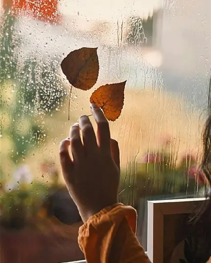 عکس غروب زیبا برای پروفایل