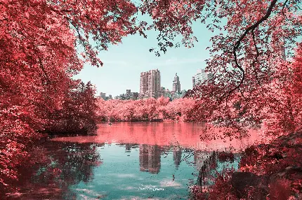 عکس زیباترین تصویر زمینه از منطقه منهتن نیویورک در پاییز