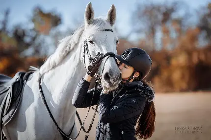 عکس جذاب و دیدنی از اسب سفید در کنار دختر سوارکار