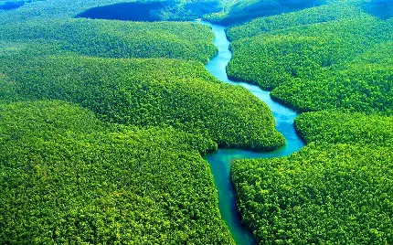 تصویر زمینه وسیع ترین و حیرت انگیزترین رودخانه جهان در برزیل