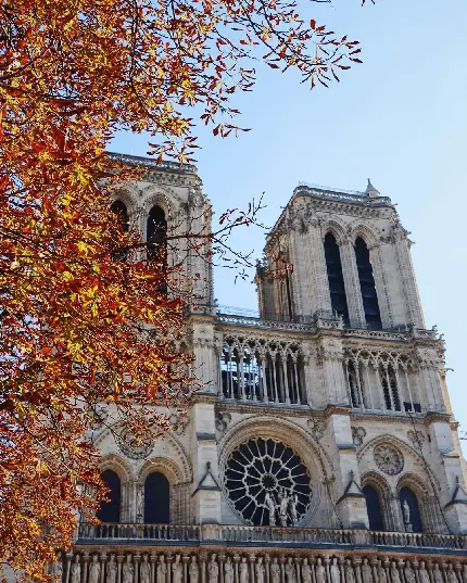 عکس ساختمان کلیسای نوتردام پاریس یکی از بهترین معماری های جهان
