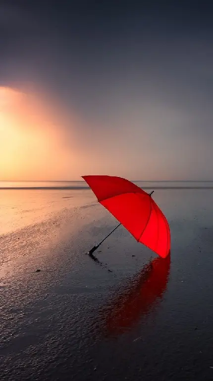 عکس روز جهانی چتر با کیفیت فوق العاده برای پست اینستاگرام