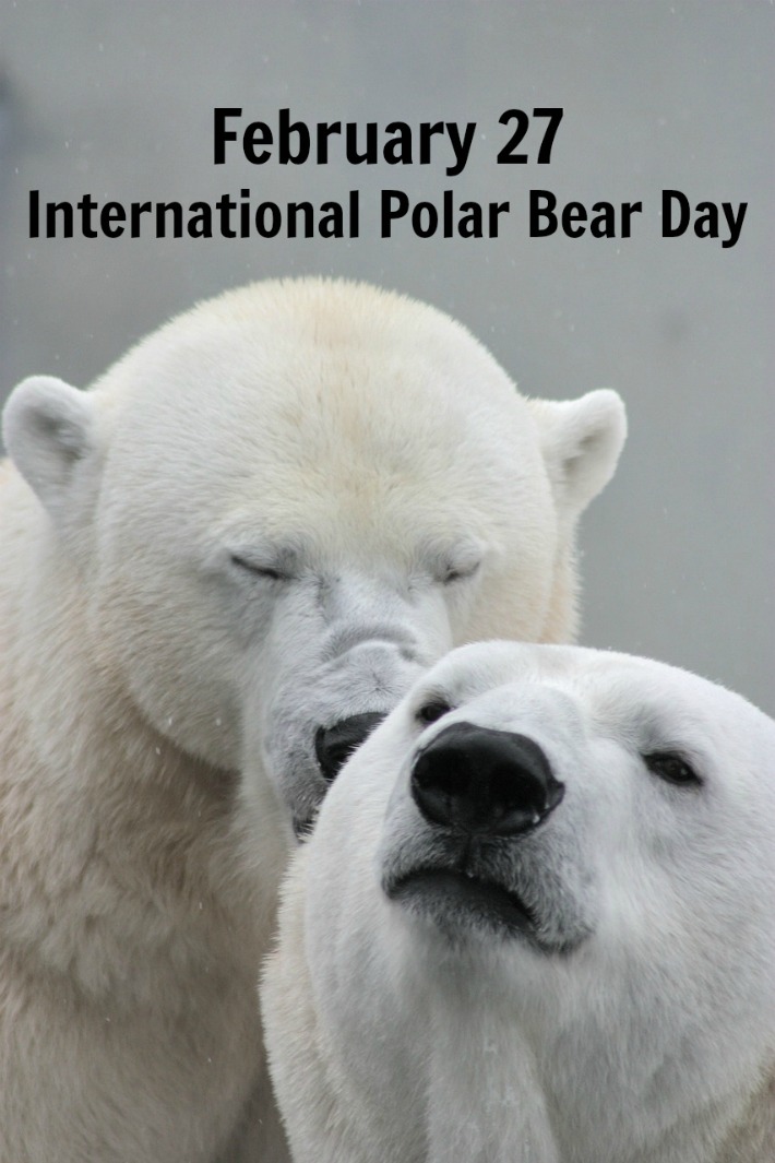 عکس نوشته روز خرس قطبی Polar Bear Day برای پروفایل