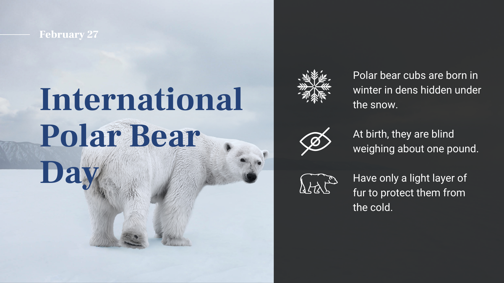 عکس نوشته روز جهانی خرس قطبی برای پروفایل شبکه های اجتماعی