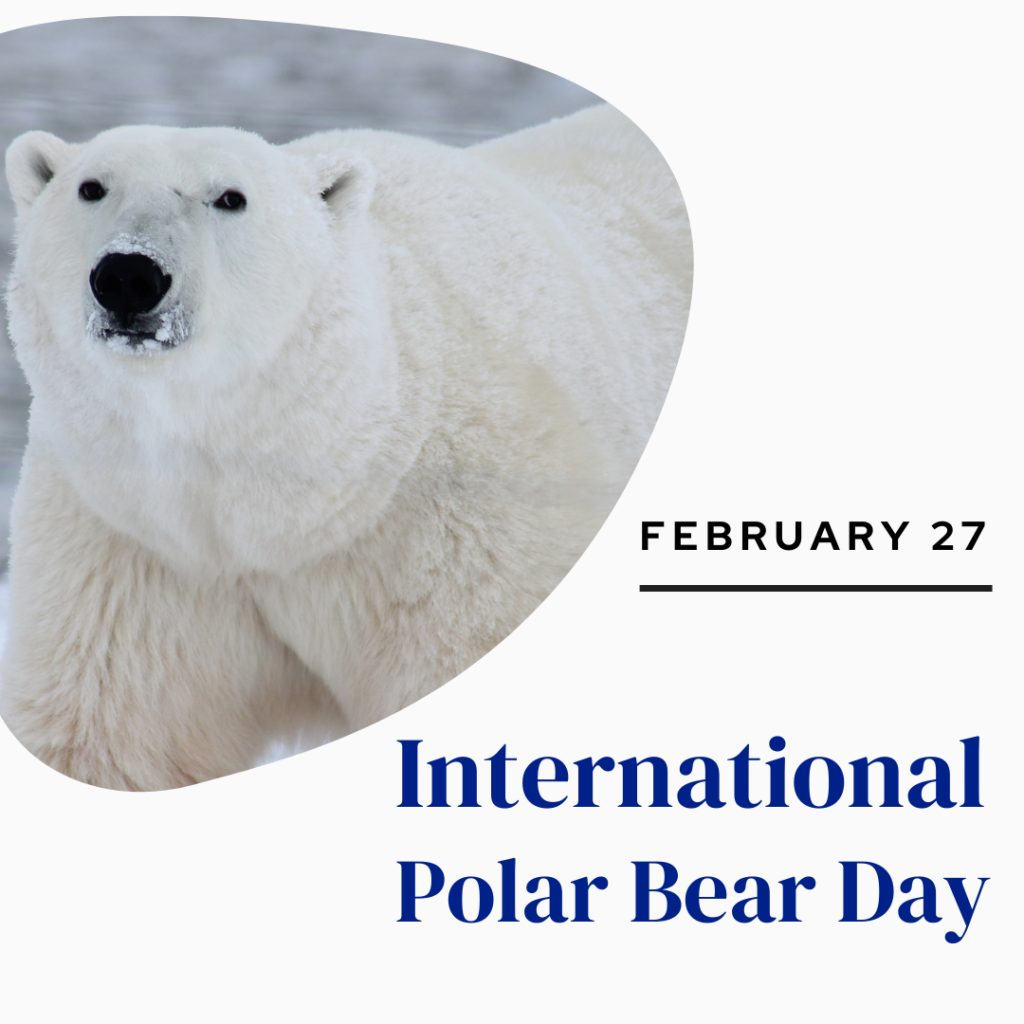 عکس نوشته national Polar Bear Day برای استوری اینستاگرام
