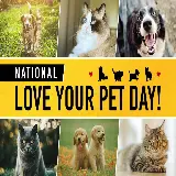 چاپ قاب موبایل و گوشی عکس نوشته روز دوست داشتن حیوانات خانگی Love your pet day