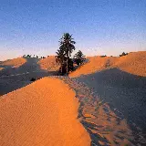 چاپ قاب موبایل و گوشی پس زمینه desert و صحرا برای والپیپر