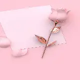 چاپ قاب موبایل و گوشی گالری عکس گل رز صورتی عاشقانه و زیبا برای پروفایل با کیفیت بالا