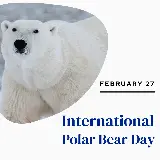 چاپ قاب موبایل و گوشی عکس نوشته national Polar Bear Day برای استوری اینستاگرام