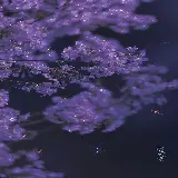 چاپ قاب موبایل و گوشی دانلود تصویر پس زمینه بنفش Purple برای گوشی با کیفیت بالا