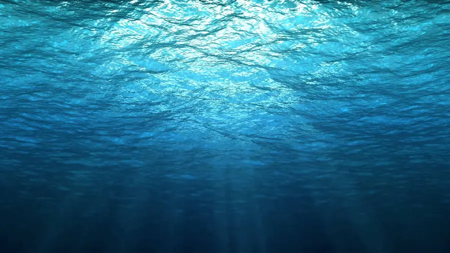تصویر رنگارنگ از زیبایی های طبیعت در زیر دریا و آب