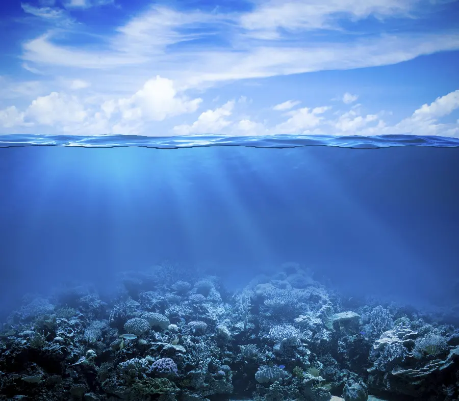 عکس دیدنی از زیر اقیانوس و مرجان های کف دریا و نور تابیده شده از خورشید با کیفیت 8k