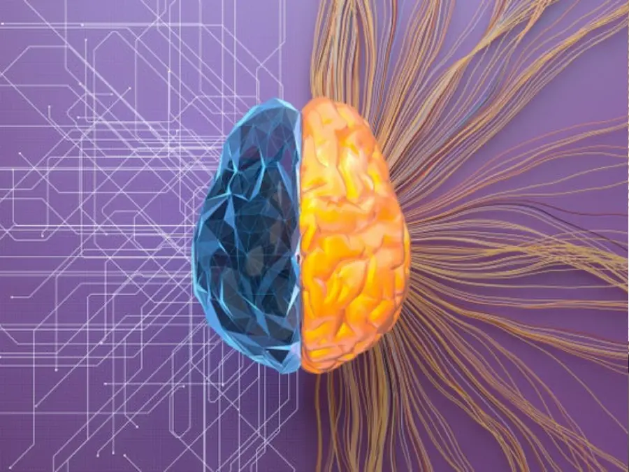 عکس مغز انسان برای والپیپر کامپیوتر