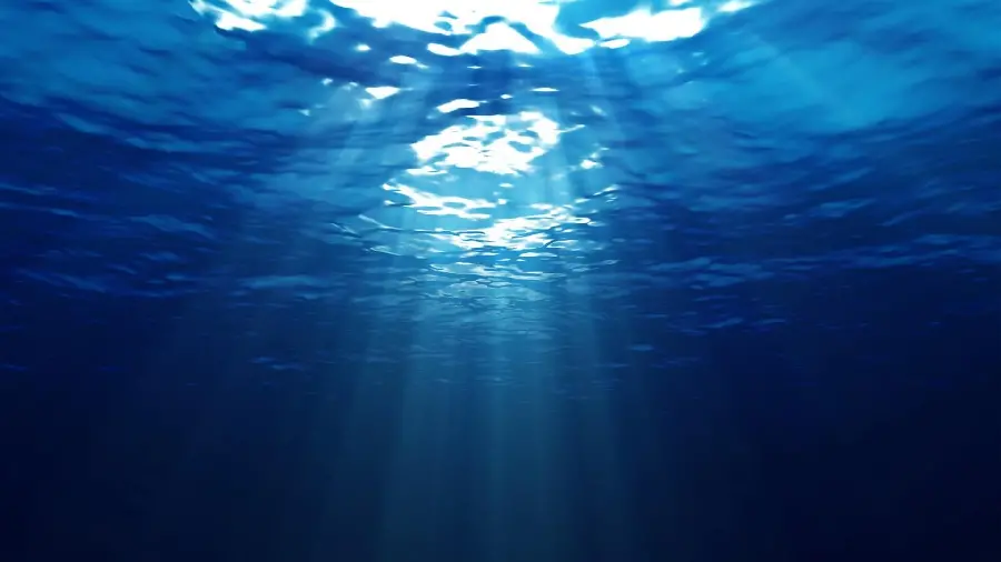 تصویر فوق العاده از دنیای زیر آب با کیفیت عالی