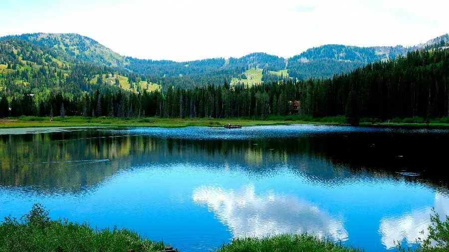 تصویر زمینه زیبای فصل بهار و کوهستان پوشیده از سبزه و درخت برای استوری اینستاگرام
