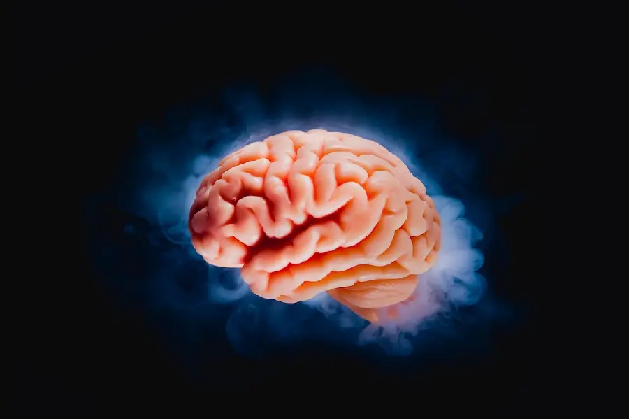 عکس مغز انسان برای تصویر زمینه لپ تاپ