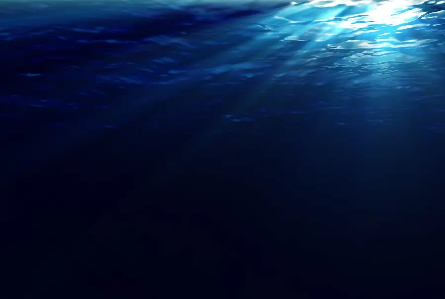 عکس بسیار زیبا و جالب از دنیایی زیر آب دریا و نمای نزدیک سطح آب دریا