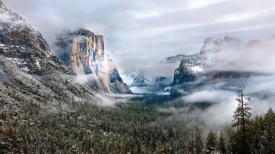 تصویر زمینه کوهستان و جنگل با درختان پوشیده از برف و مه با کیفیت HD