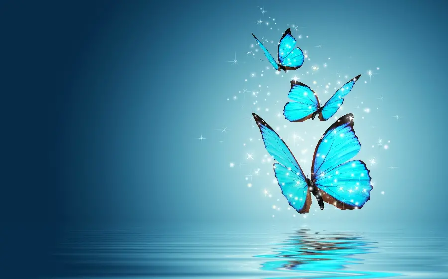 والپیپر پروانه های زیبای آبی رنگ و فیروزه ای برای لپ تاپ با کیفیت HD