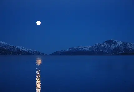 زیباترین بک گراند شب مهتابی با کیفیت 4K مخصوص دسکتاپ