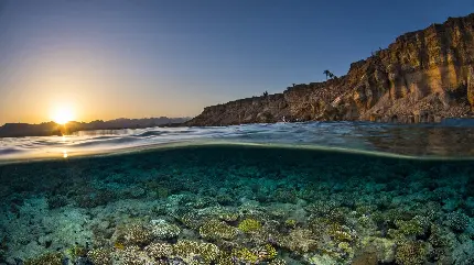 عکس زیر آب در غروب آفتاب برای والپیپر گوشی موبایل