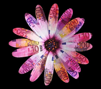عکس خلاقانه اچ دی با سوژه گل با برگ هایی از پول