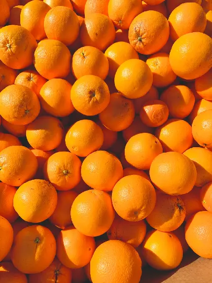 بک گراند جذاب و زیبا از میوه خوشمزه پرتقال با کیفیت خیلی خوب