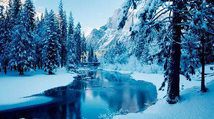 عکس رود جاری ، ساکت و آرام در دل جنگلهای برفی در زمستان