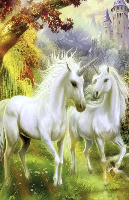 والپیپر اسب تک شاخ های سفید و زیبا در دل جنگل سرسبز 