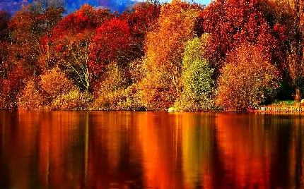 عکس زمینه رودخانه و درختان رنگارنگ پاییزی قشنگ برای لپ تاپ