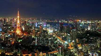 دانلود تصویر زمینه منظره شهر توکیو و برج مخابراتی معروف توکیو و مرکز شهر در پارک شیبا
