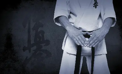عکس کاراته کار برای والپیپر و تصویر زمینه با کیفیت HD