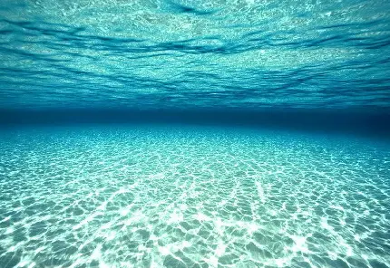 دانلود والپیپر دنیای زیر آب Underwater World با کیفیت فول اچ دی