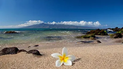 عکس از سواحل هاوایی برای پروفایل