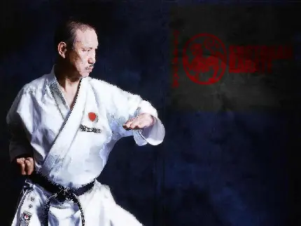 عکس استاد مبارزه کاراته در سبک ژاپنی شوتوکان برای والپیپر