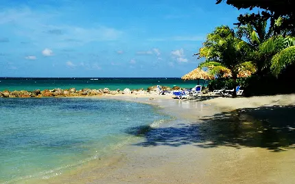 عکس ساحل دریا جزایر جامائیکا