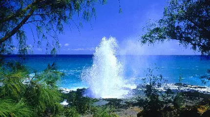 دانلود عکس ساحل دریا با کیفیت Full HD جزایر هاوایی