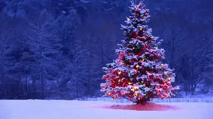 عکس پروفایل برفی زیبا با بدون متن به مناسبت کریسمس در زمستان