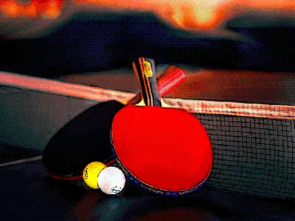 عکس تنیس روی میز زیبا فول اچ دی