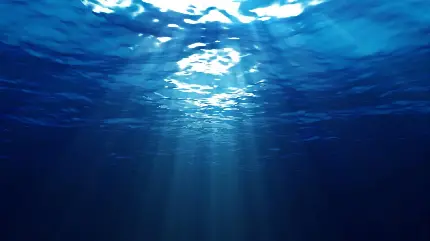 تصویر فوق العاده از دنیای زیر آب با کیفیت عالی