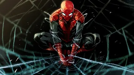 عکس مرد عنکبوتی با ژست و حرکت خاص برای تنیدین تار