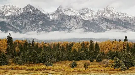 تصویر زیبا کوهستان سرد پوشیده از برف و درختان پاییزی