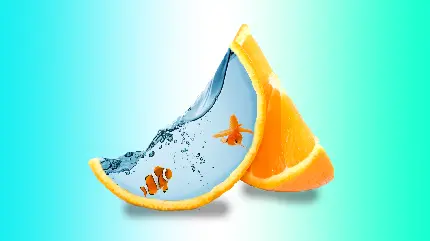 والپیپر جذاب و خلاقانه به صورت قاچ های پرتقال در شکل تنگ ماهی