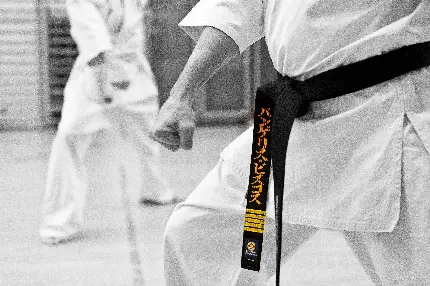 پوستر ورزش رزمی کاراته و عکس کمربند مشکی یک استاد در سبک کاراته ژاپنی