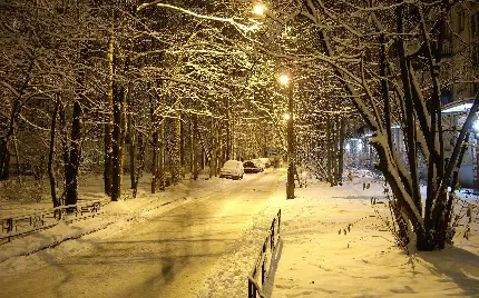 دانلود والپیپر زمستانی Winter Landscapes HD و خیابان نورانی پر از برف