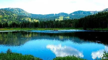 تصویر زمینه زیبای فصل بهار و کوهستان پوشیده از سبزه و درخت برای استوری اینستاگرام