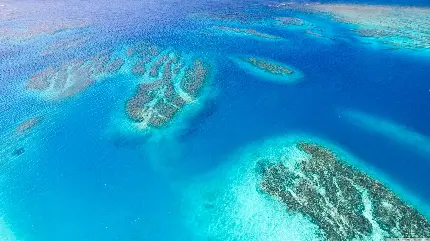 عکسی از فضای بالای صخره های مرجانی در آب