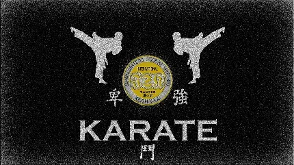 تصویر لوگوی کاراته ژاپنی برای پروفایل رزمی کاران با کیفیت بالا