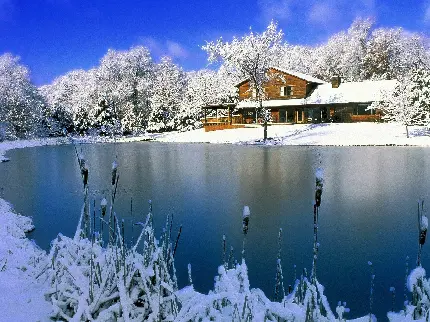 عکس خانه جنگلی در کنار برکه زیبا در فصل زمستان برای پروفایل شبکه های اجتماعی