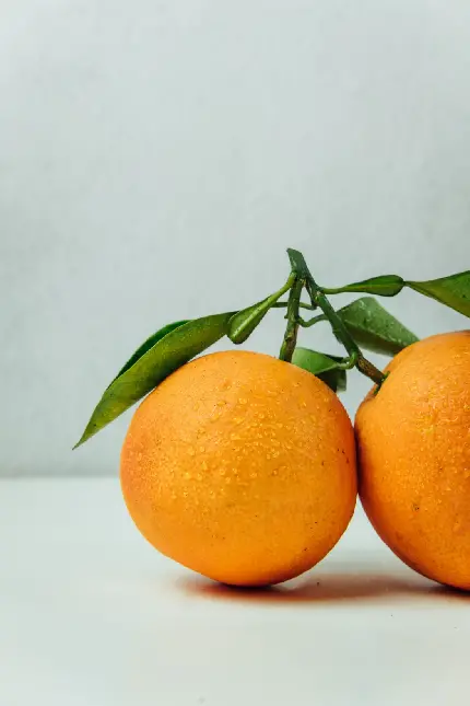 والپیپر زیبا از یک جفت پرتقال آبدار خوشمزه با کیفیت عالی